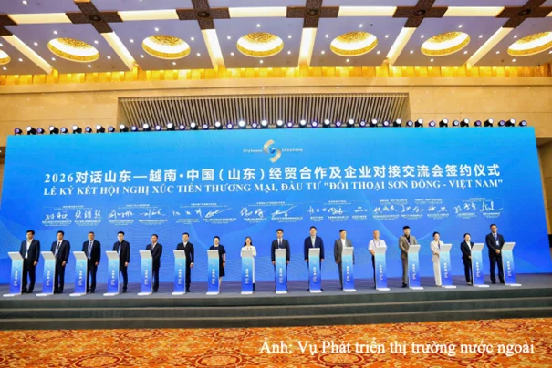 CEO IP Attends “Shandong - Vietnam Dialogue” - Expanding International Cooperation Opportunities